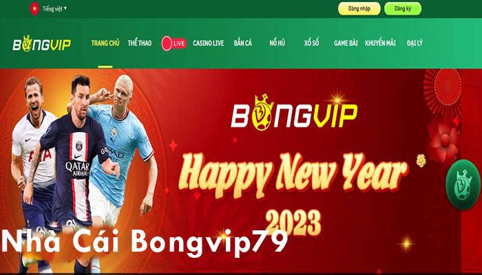 Bongvip79 - Trải nghiệm cá cược trực tuyến đỉnh cao