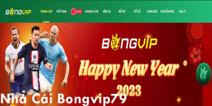 Bongvip79 - Trải nghiệm cá cược trực tuyến đỉnh cao